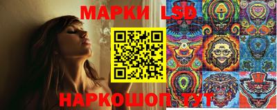молекула духа Берёзовский