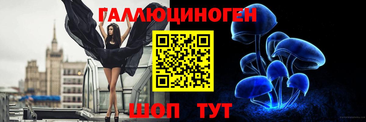 Боровичи  Галлюциногенные грибы ЛСД  Вход с VPN 